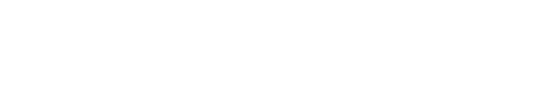 Project Advisory